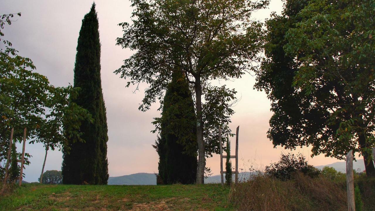 Agriturismo Casa Agricola Rossi Appartamenti In Casentino Soci Exteriör bild