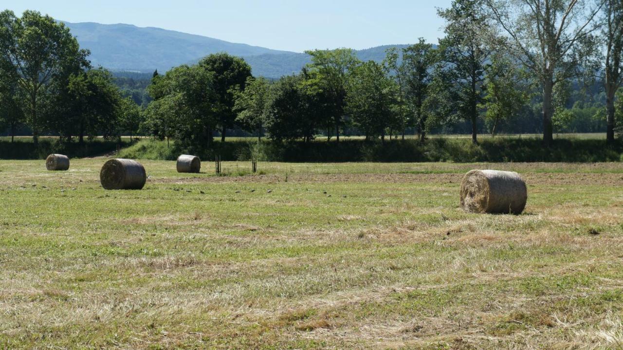 Agriturismo Casa Agricola Rossi Appartamenti In Casentino Soci Exteriör bild