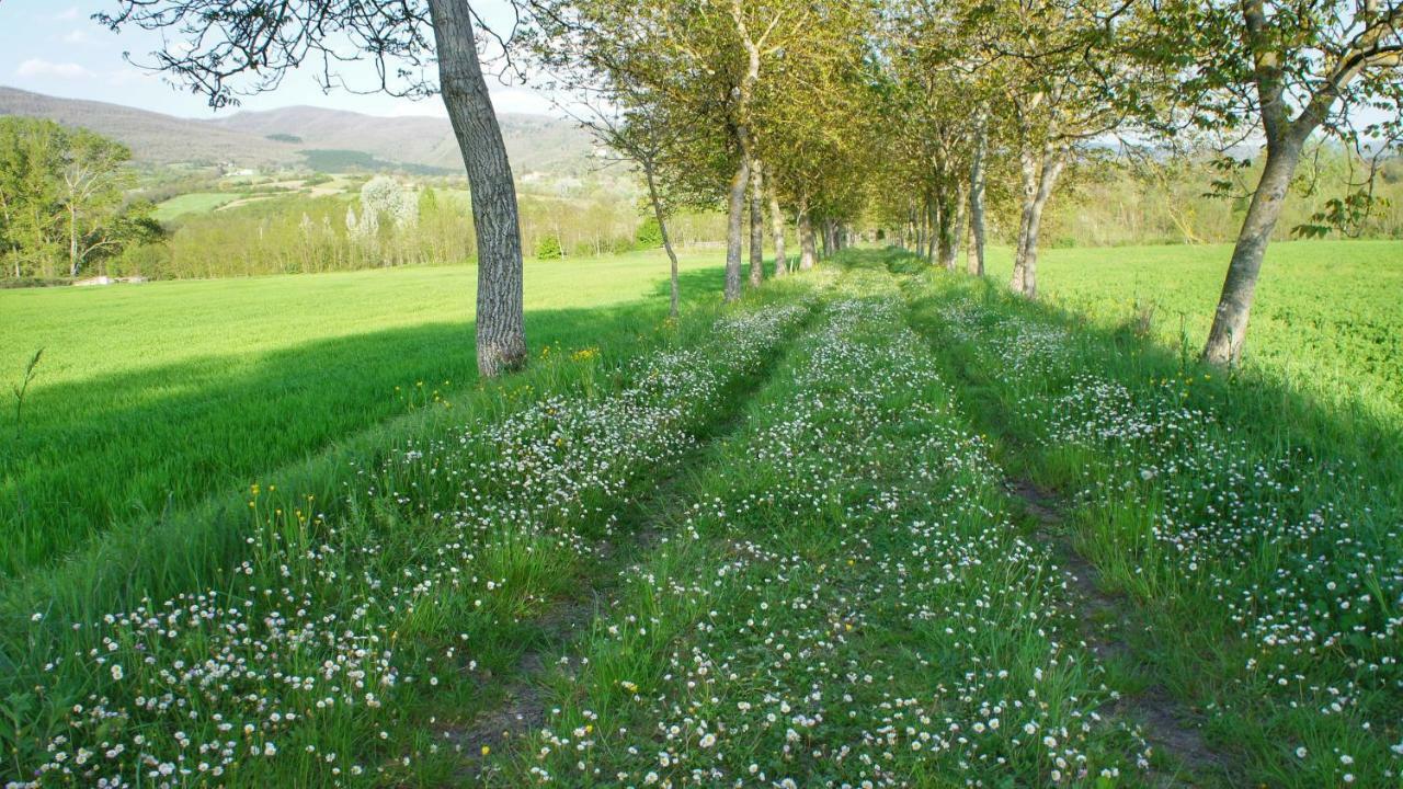 Agriturismo Casa Agricola Rossi Appartamenti In Casentino Soci Exteriör bild