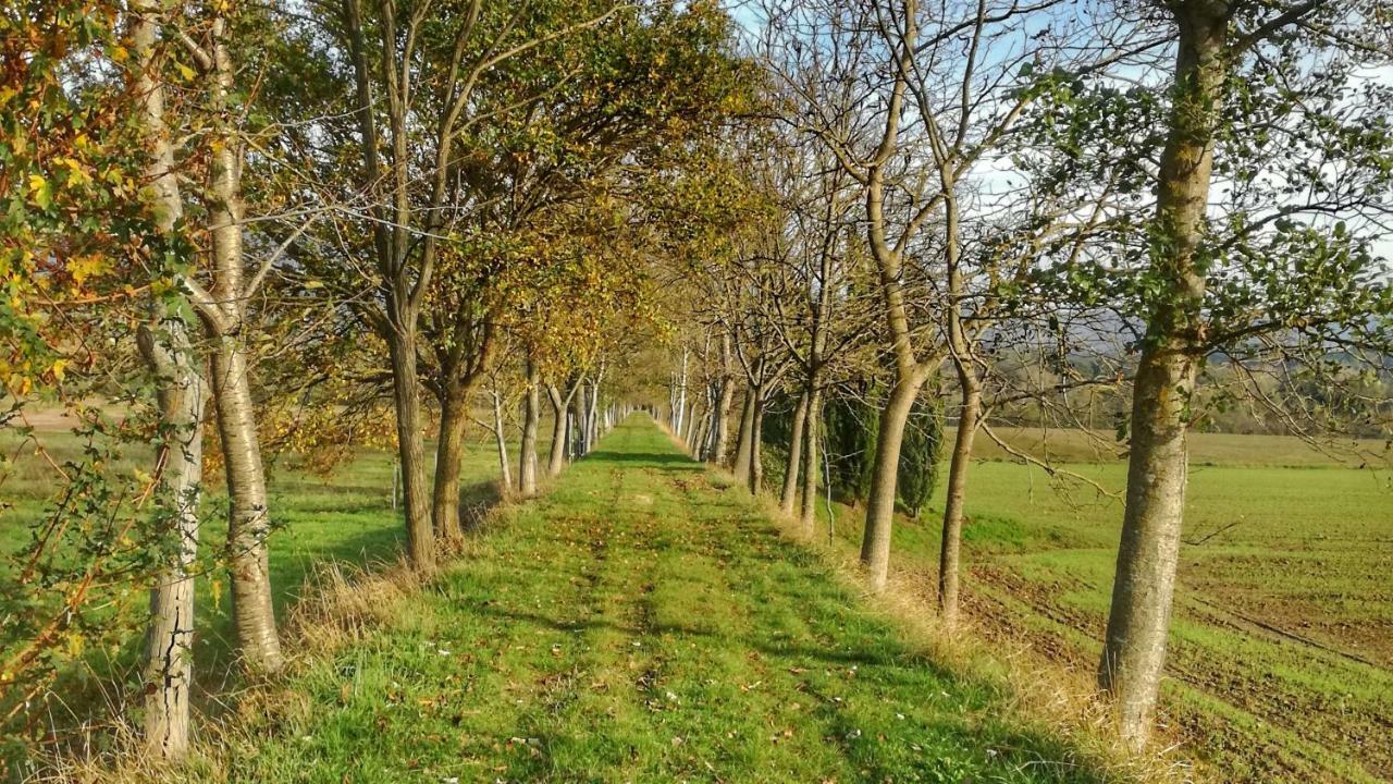 Agriturismo Casa Agricola Rossi Appartamenti In Casentino Soci Exteriör bild
