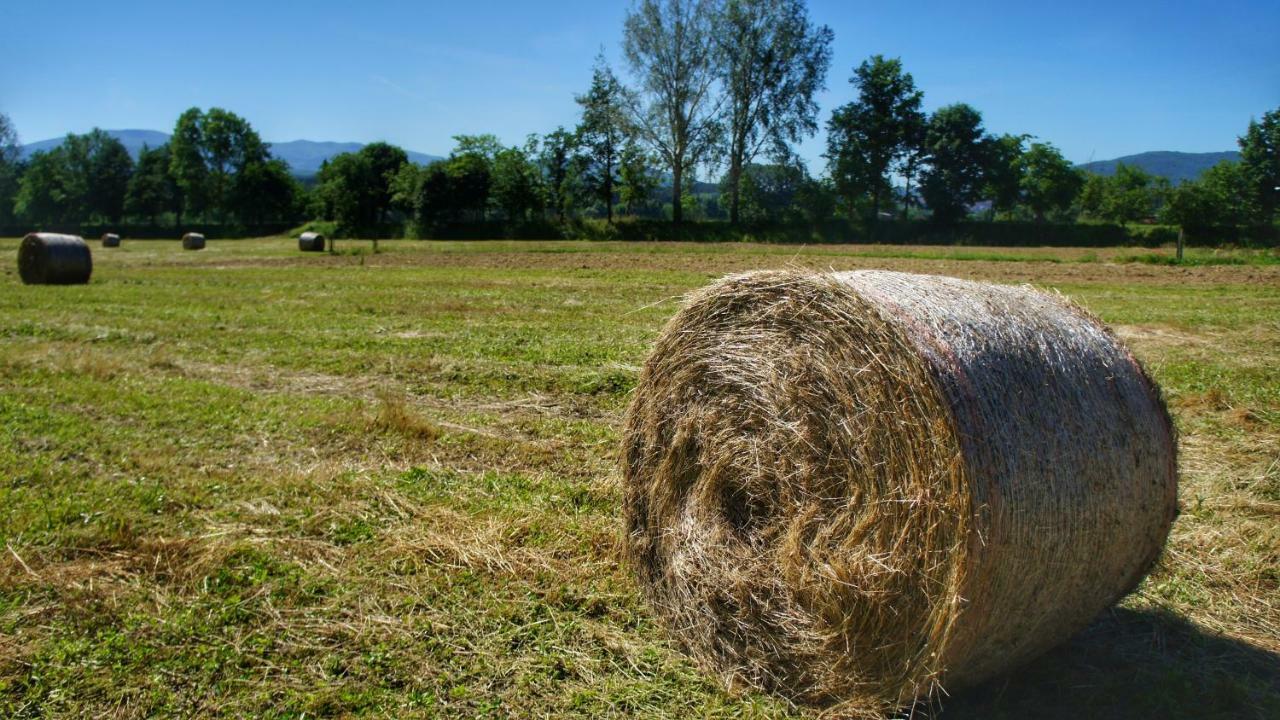 Agriturismo Casa Agricola Rossi Appartamenti In Casentino Soci Exteriör bild
