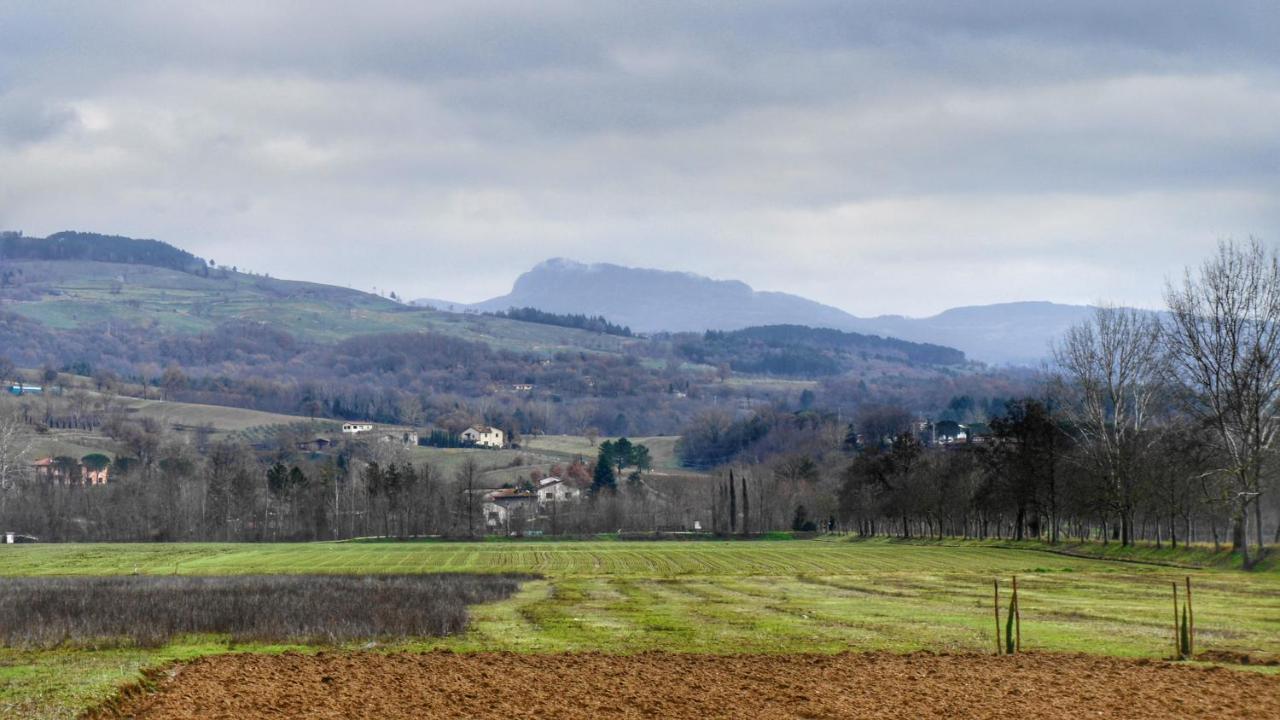 Agriturismo Casa Agricola Rossi Appartamenti In Casentino Soci Exteriör bild