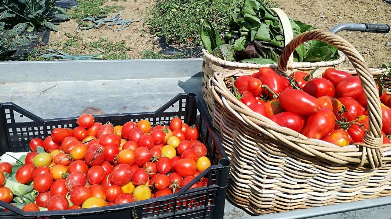 Agriturismo Casa Agricola Rossi Appartamenti In Casentino Soci Exteriör bild